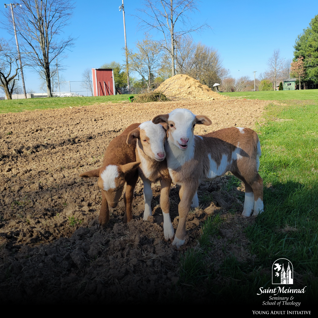April Reflection on Gardening and Faith | Saint Meinrad Seminary and ...