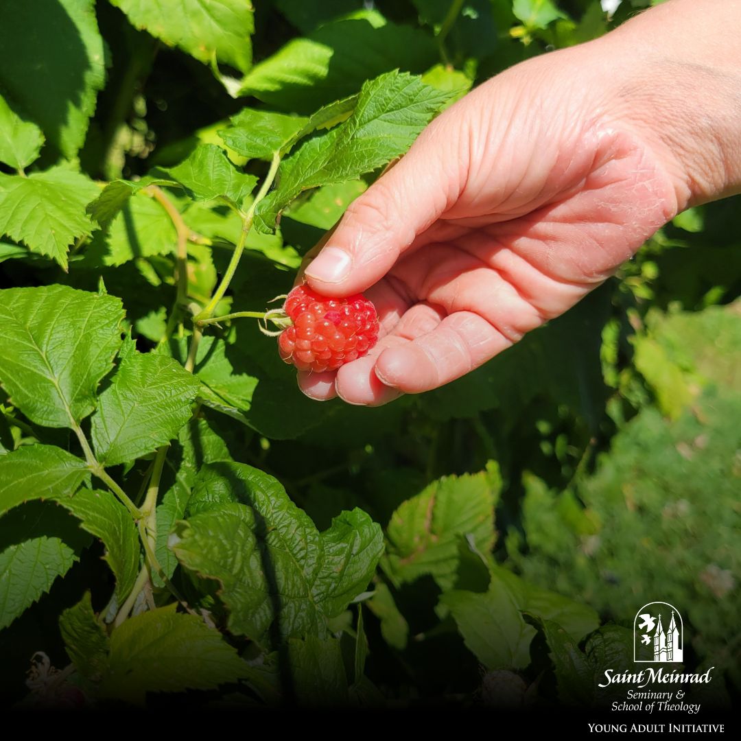June Reflection on Gardening and Faith | Saint Meinrad Seminary and ...
